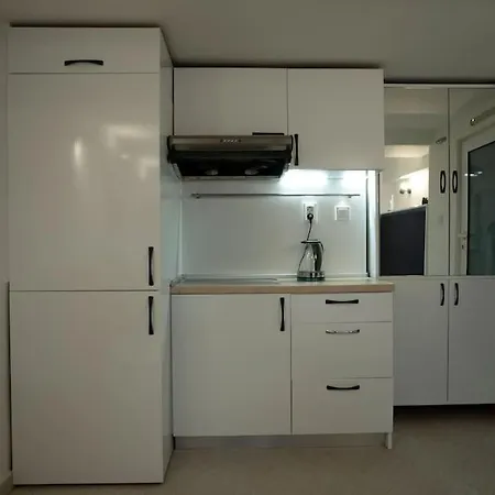 Apartament With Courtyard Just Steps Away Vitosha Str *